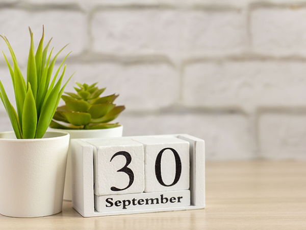 calendar image of September 30 next to plant