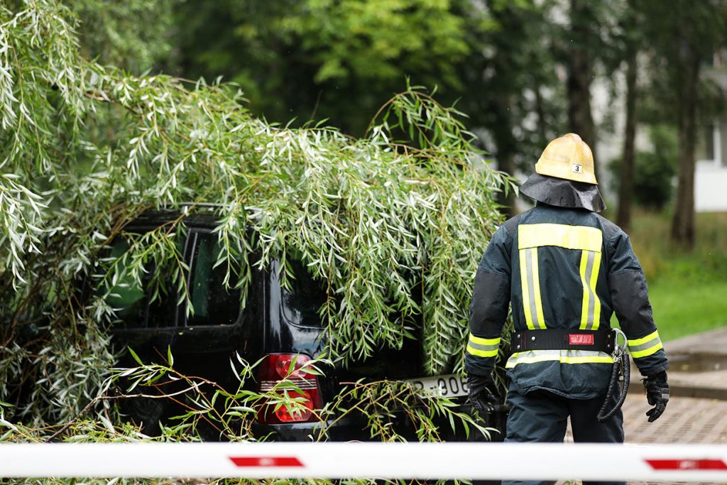 firefighter helps get a fallen tree off of a car after a natural disaster.